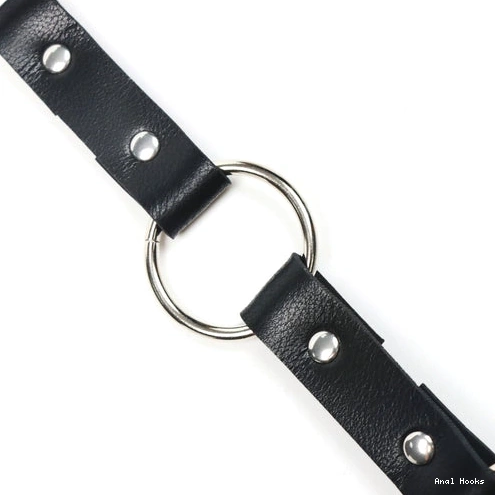 Anal Hooks Kinky Hook 5853 EverydayUse and Collar with Anal Leash 1006